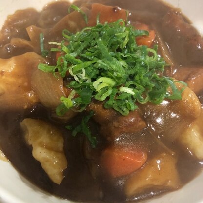 まさに2日目のカレーで、白だしがあったので作りました！
とーっても美味しかったです(^^)